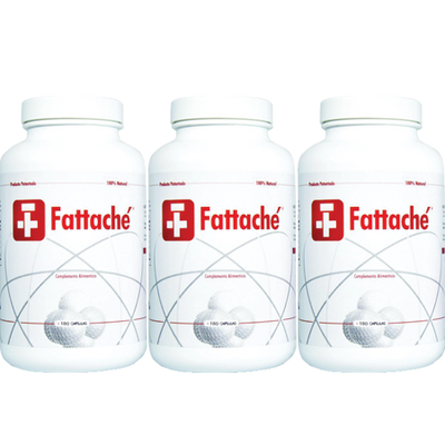 Fattaché - 3 embalagens - debemcomavida.pt