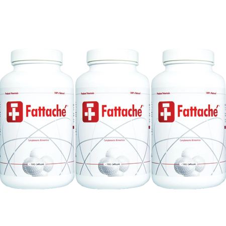 Fattaché - 3 embalagens - debemcomavida.pt