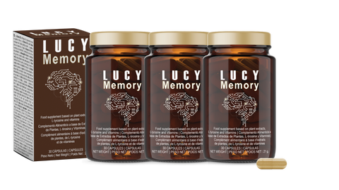 Lucy Memory Power - debemcomavida.pt