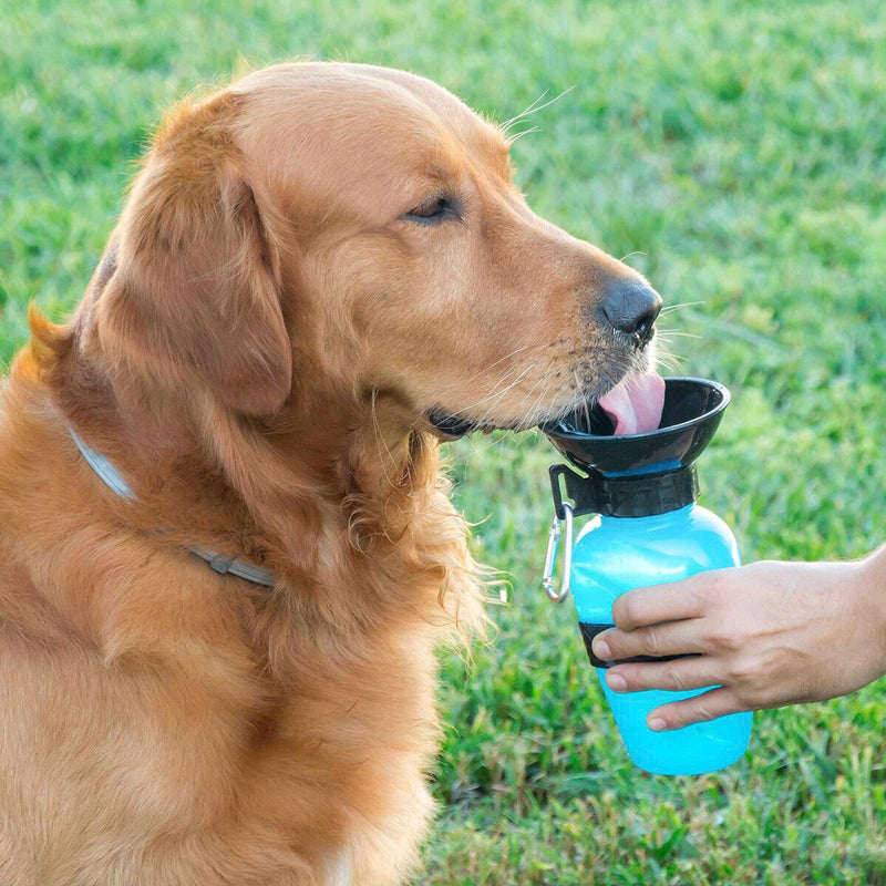 Garrafa Bebedouro de Água para Cães InnovaGoods - debemcomavida.pt