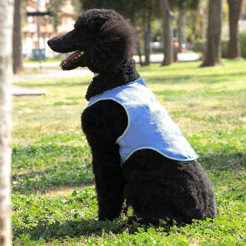 Colete Refrescante para Cães Médios InnovaGoods - M - debemcomavida.pt