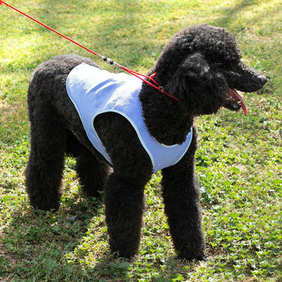 Colete Refrescante para Cães Médios InnovaGoods - M - debemcomavida.pt