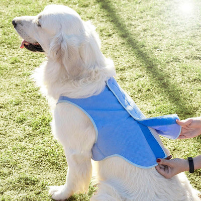 Colete Refrescante para Cães Grandes InnovaGoods - L - debemcomavida.pt