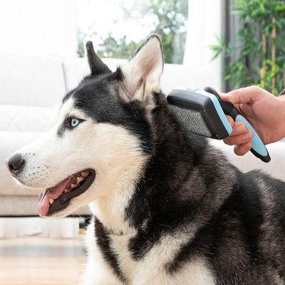 Escova de Limpeza para Animais de Estimação com Cerdas Retráteis Groombot InnovaGoods - debemcomavida.pt