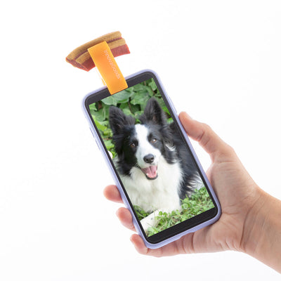 Clipe de Selfies para Animais de Estimação Pefie InnovaGoods - debemcomavida.pt