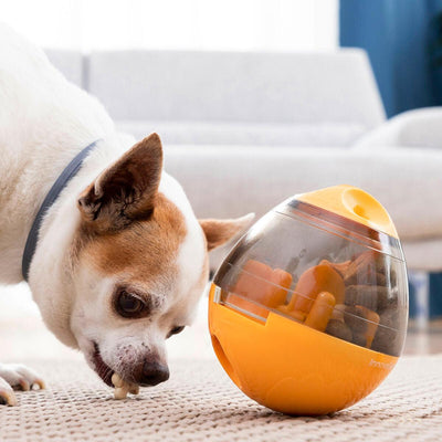 Brinquedo Dispensador de Recompensas para Animais de Estimação 2 em 1 Petyt InnovaGoods - debemcomavida.pt