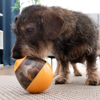 Brinquedo Dispensador de Recompensas para Animais de Estimação 2 em 1 Petyt InnovaGoods - debemcomavida.pt