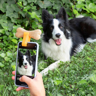 Clipe de Selfies para Animais de Estimação Pefie InnovaGoods (Recondicionado A+) - debemcomavida.pt